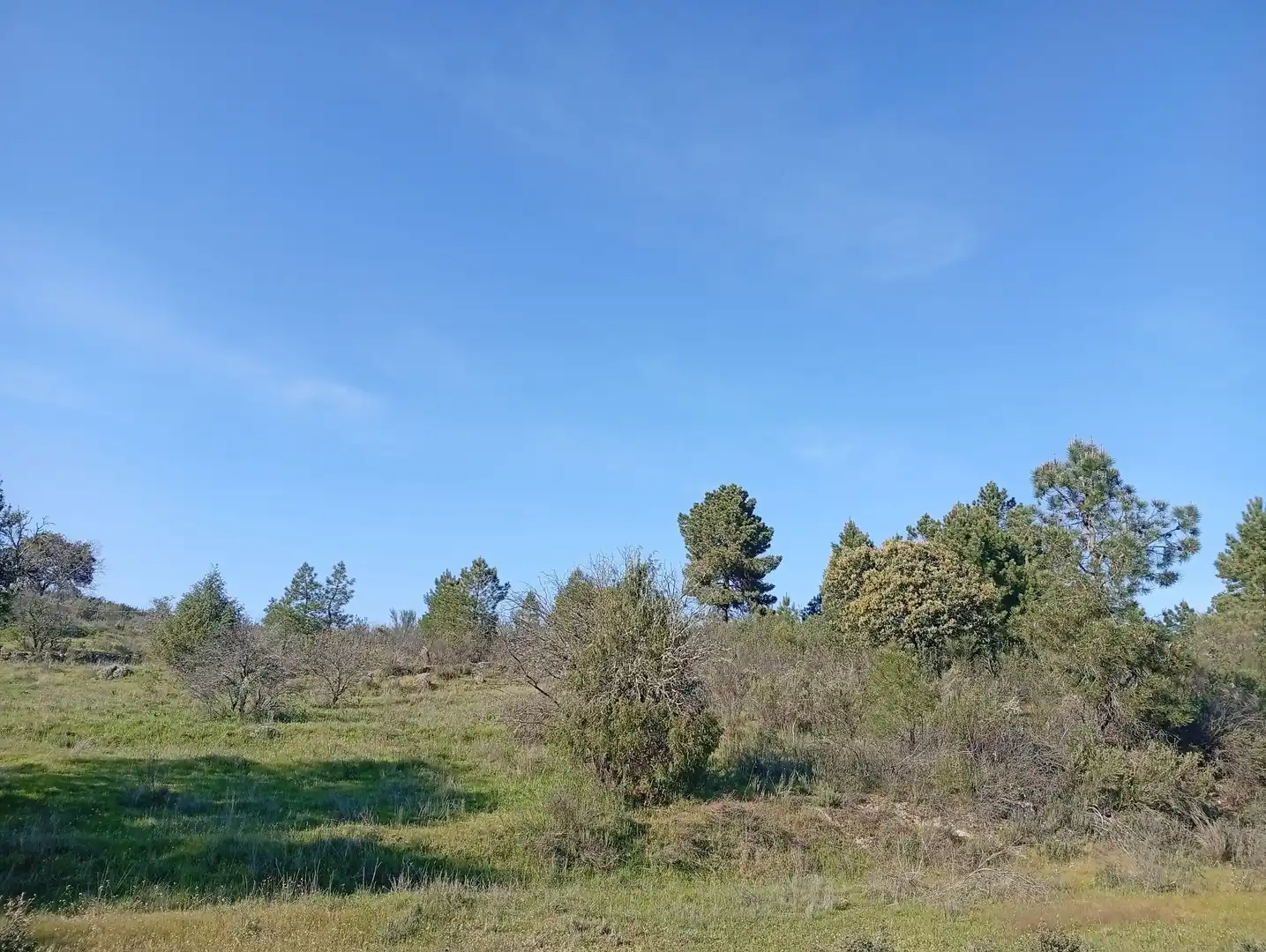 Terreni e lotti in vendita a Villanueva de la Vera, imagen 3