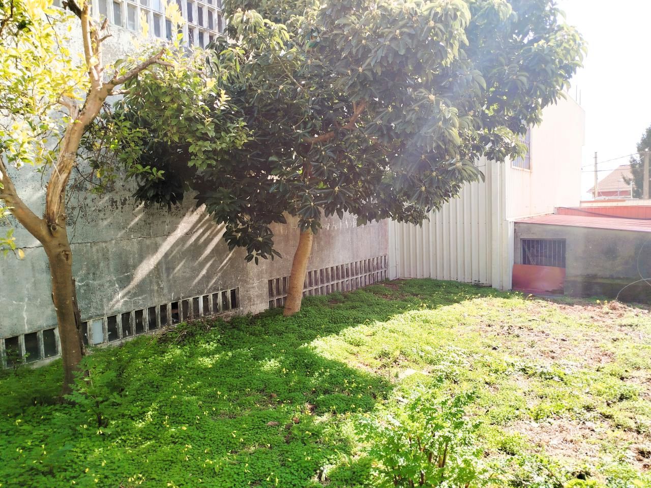 Garden of Industrial buildings for sale in Mos