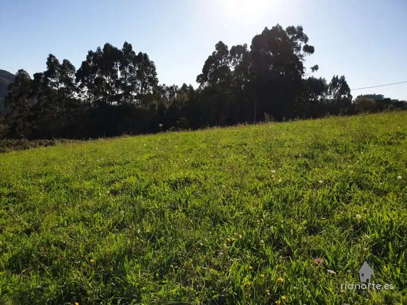 Terreno rústico en venta en Carreño, imagen 6