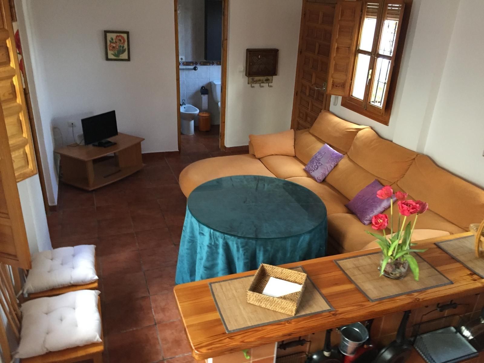 Living room of Flat to rent in  Granada Capital  with Heating, Private garden and Terrace