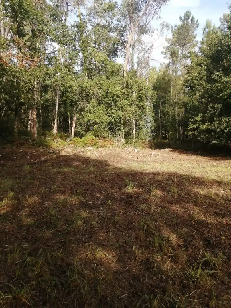 Terrains et parcelles à vendre à Ponteareas, imagen 14
