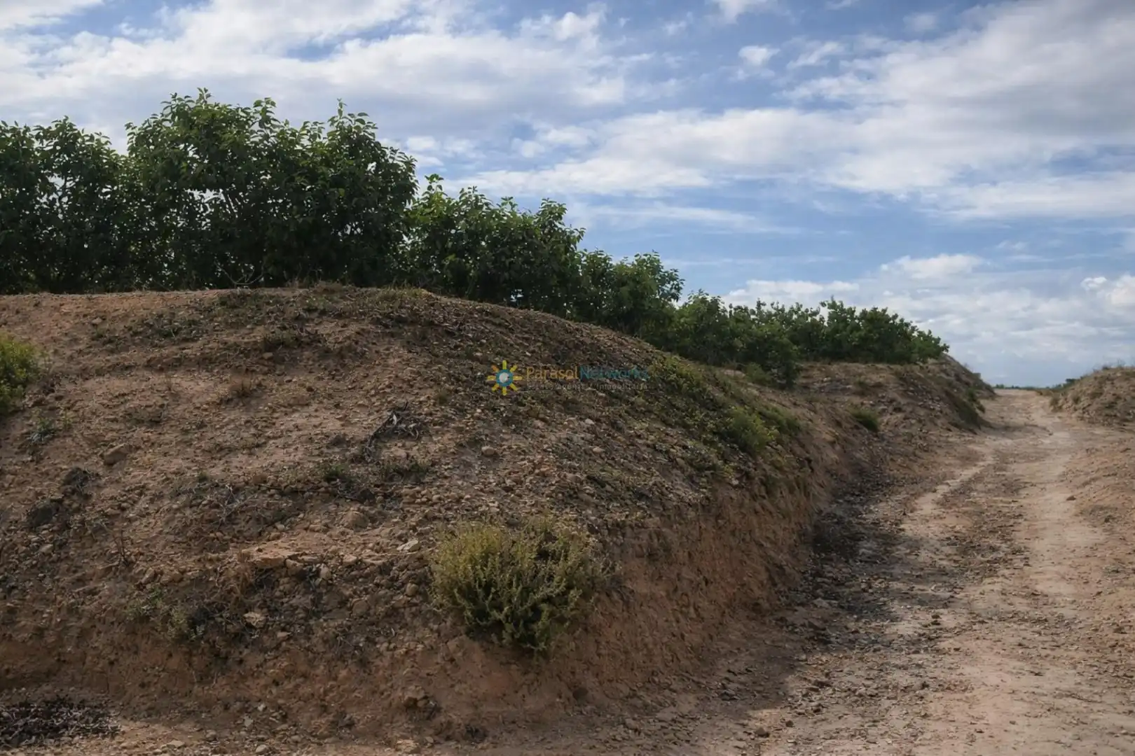 Finca rústica en venda en Benigànim amb Traster