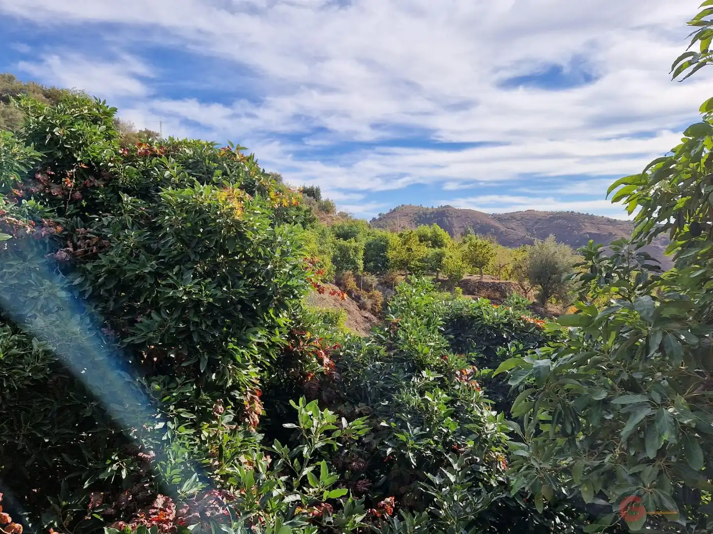 Casa rústica en venta en Los Guájares, imagen 2