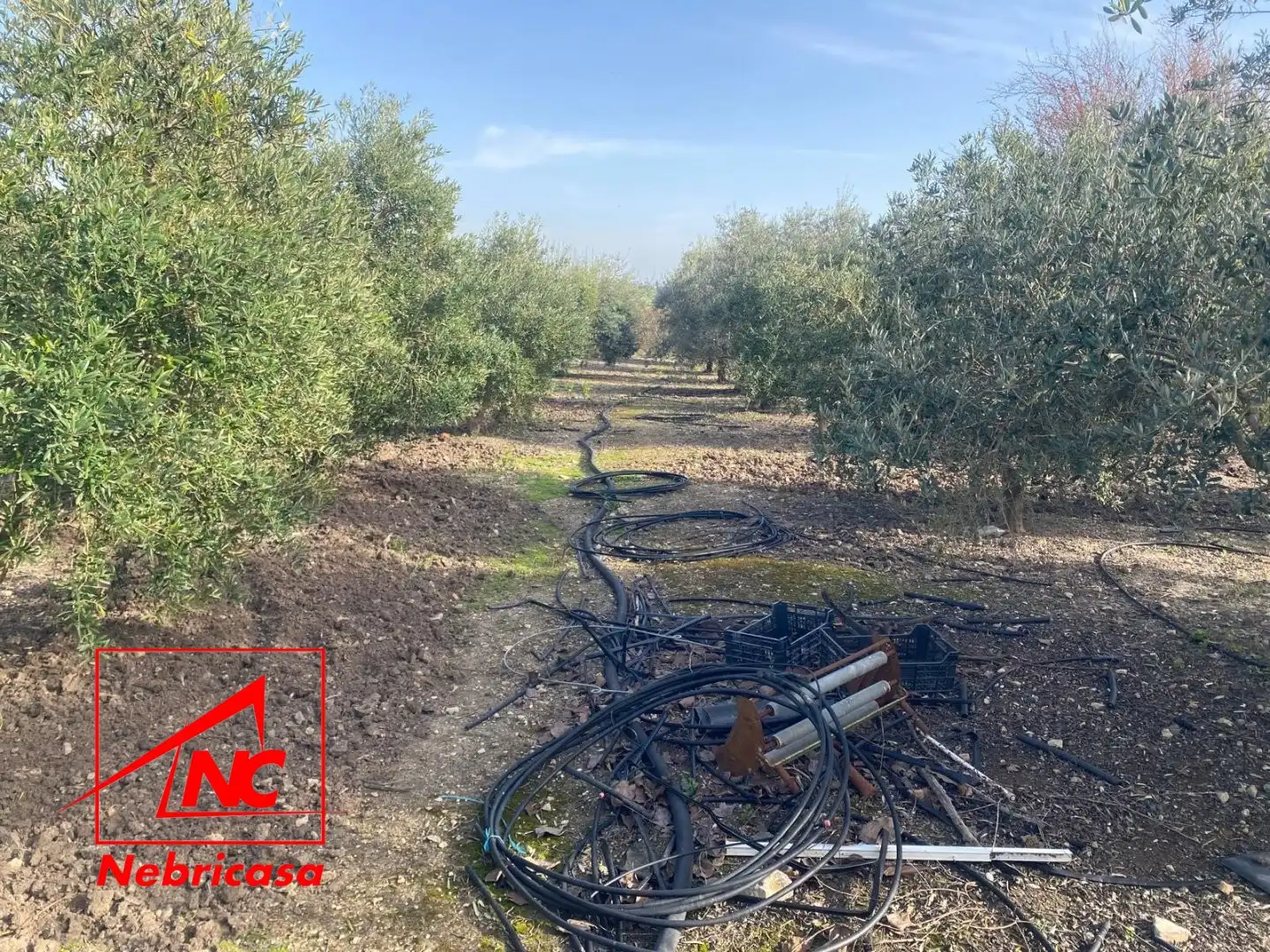 Finca rústica en venta en Las Cabezas de San Juan