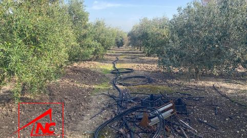 Foto 4 de Finca rústica en venta en Las Cabezas de San Juan, Sevilla