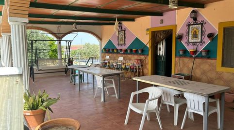 Foto 2 de Finca rústica en venda a La Hispanidad - Verdeluz, Huelva Capital