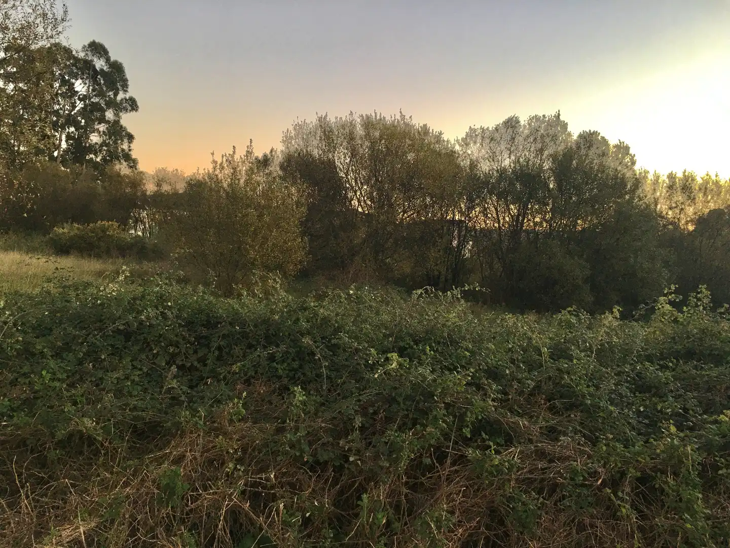 Residencial en venda en Narón
