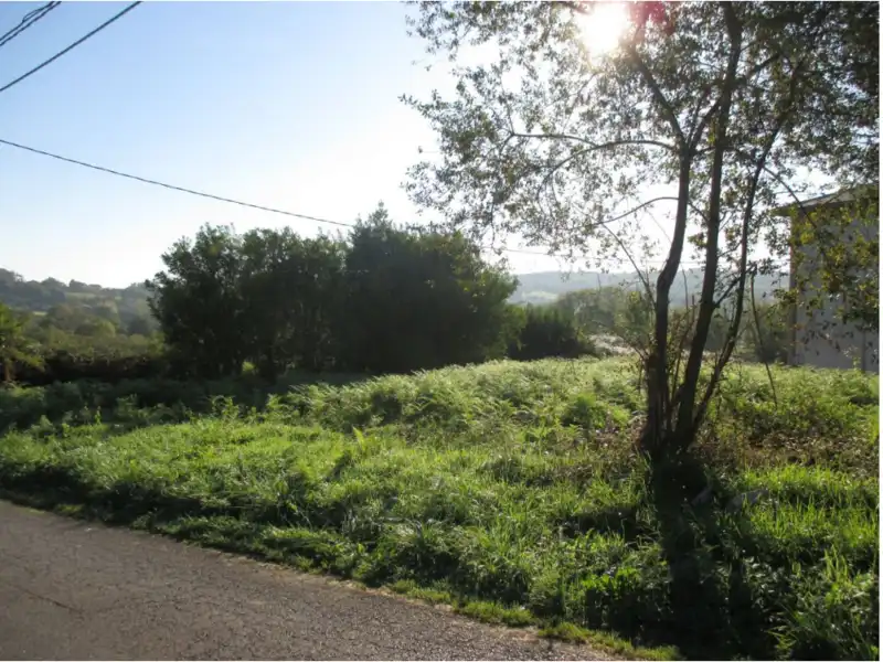 Terreny residencial en venda a LA LLORAL, POLIGONO 47, PARCELA, imagen 8