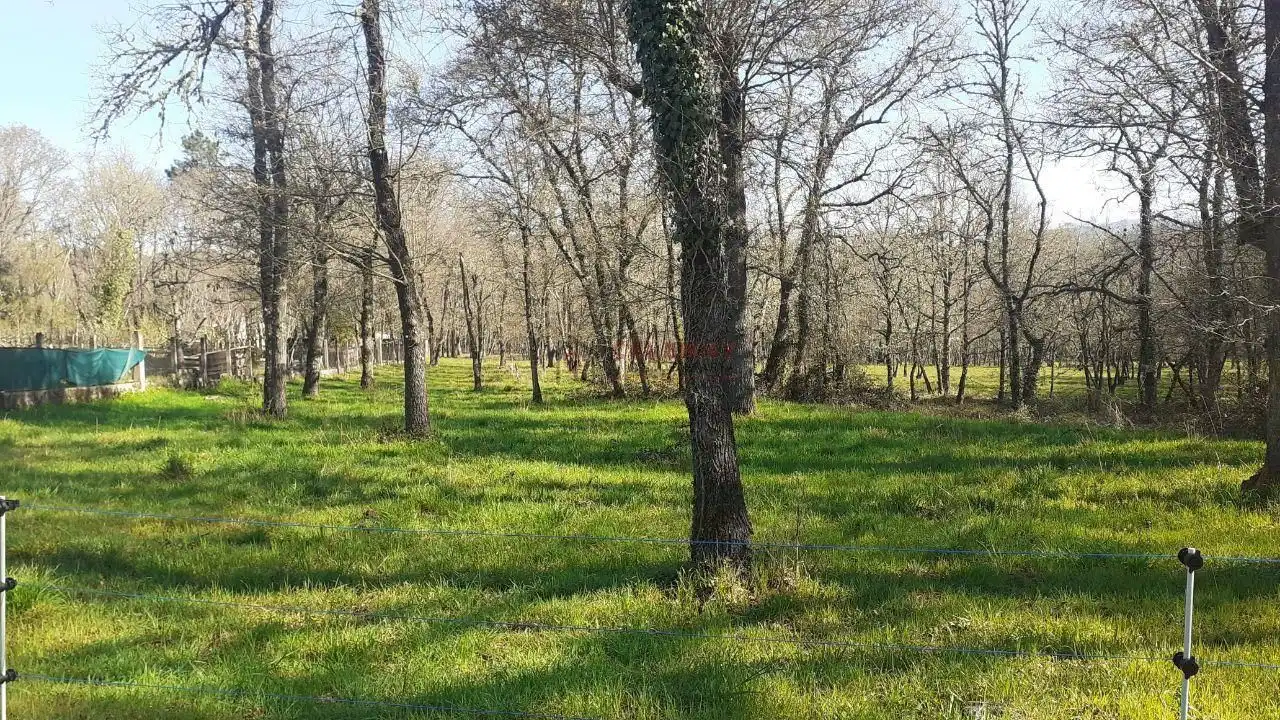 Terreni e lotti in vendita a Paderne de Allariz, imagen 16