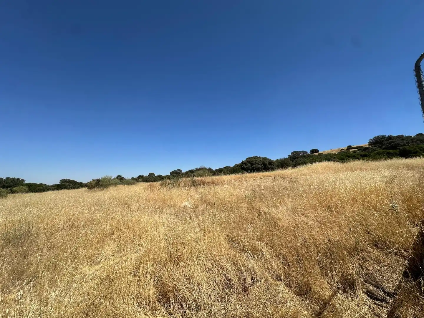 Rural land for sale in Carretera Valdepeñas-Ciudad Real, imagen 92