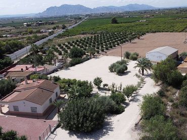 Villa à vendre à Crevillent