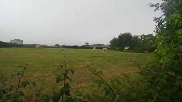 Terreno rustico in vendita a CL REPUENTE, imagen 5