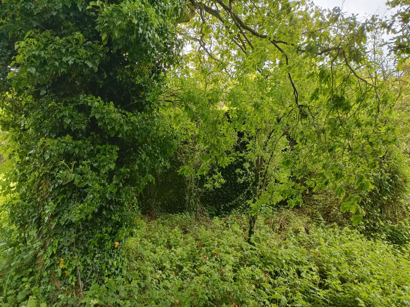 Casa o xalet en venda en Aranga amb Jardí privat i Traster