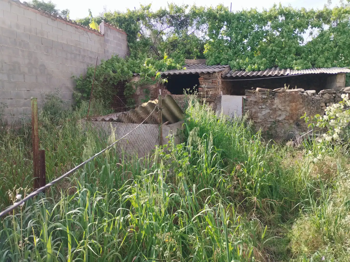 Casa con giardino in vendita a Jerez de los Caballeros, imagen 5