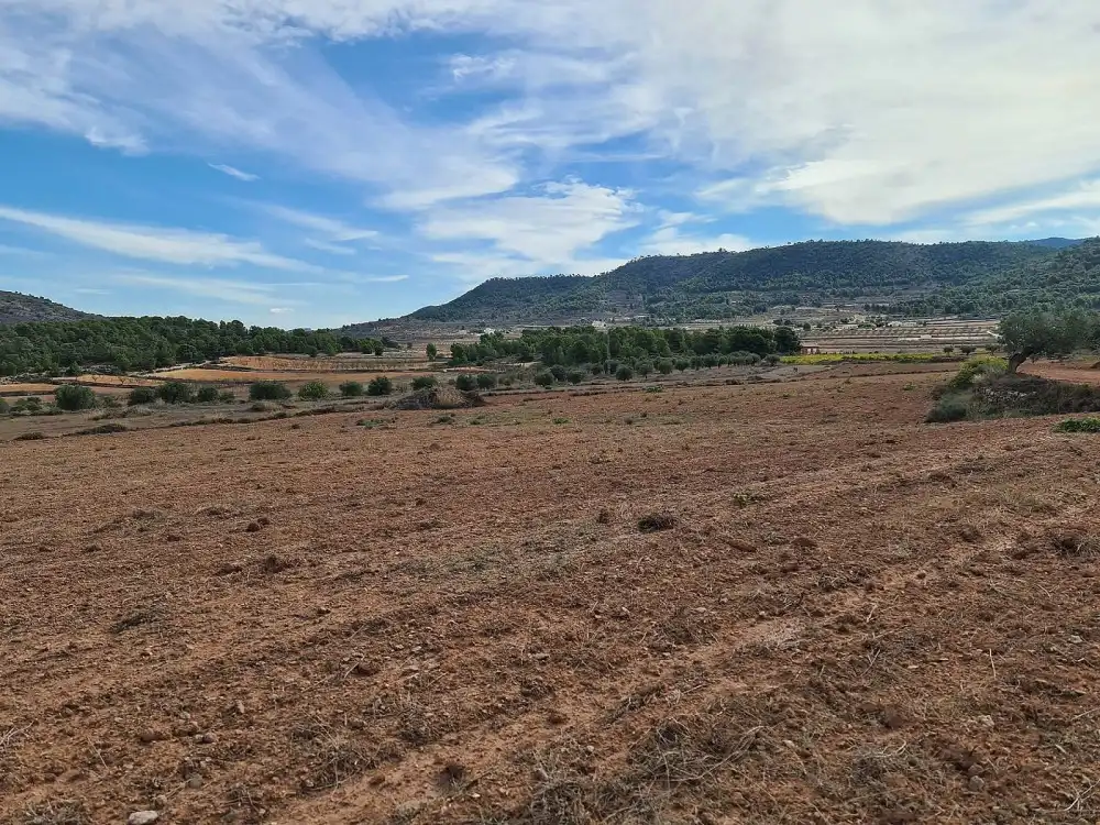 Terreno residencial en venta en El Pinós / Pinoso, imagen 7