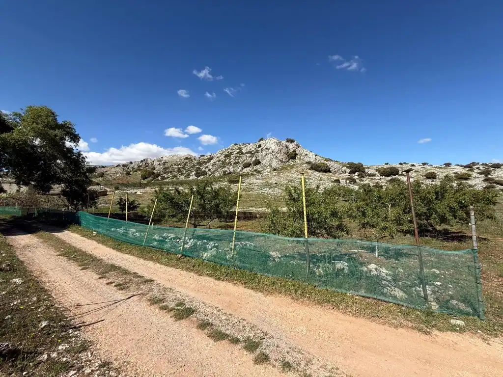 House for sale in Poligono 9 Paraje 81 Charquillo, imagen 41