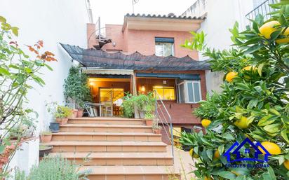 Garden of Single-family semi-detached for sale in Arenys de Munt  with Private garden and Storage room