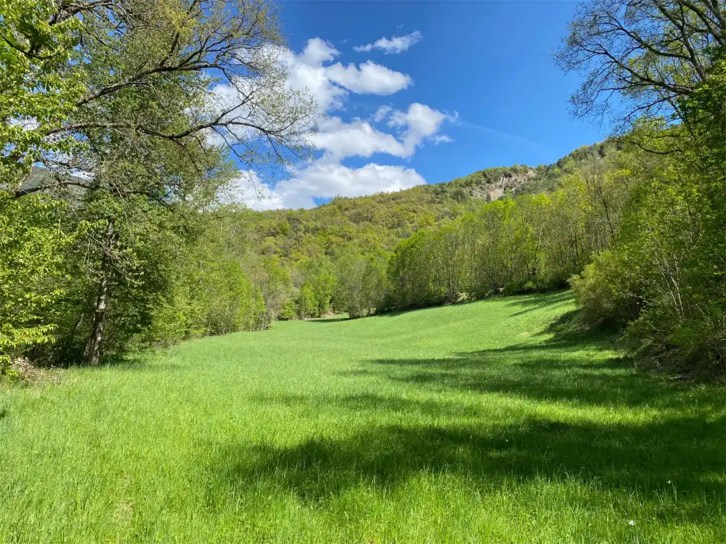 Terreno en venta en Tírvia