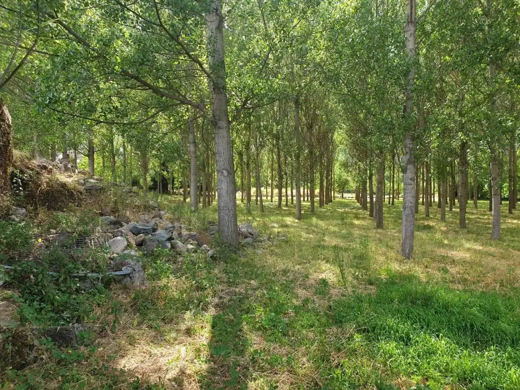 Terreno en venta en Castejón de Sos