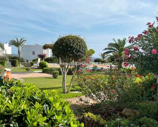 Jardí de Apartament en venda en Ciutadella de Menorca amb Terrassa i Piscina comunitària