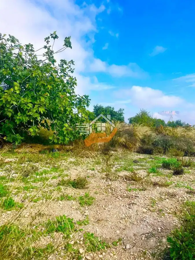 Country homes for sale in Vélez-Rubio