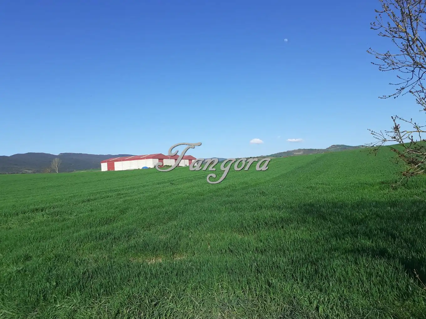 Industrial land for sale in La Puebla de Arganzón 