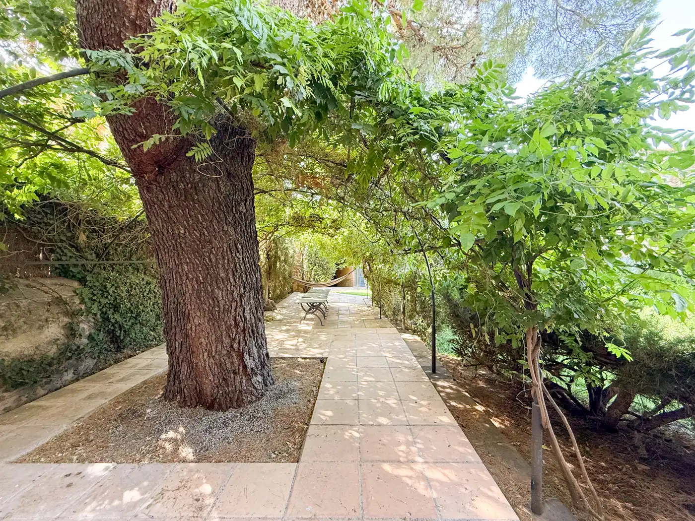 Villa con giardino in vendita a Plaça DEL CARME, imagen 41