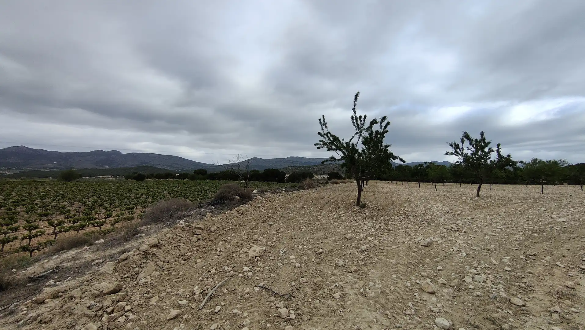 Terreno rustico in vendita a Plaça Poligono 3 271, imagen 2