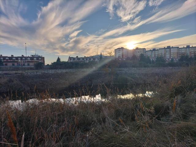 Terreno en Venta en Villamuriel de Cerrato