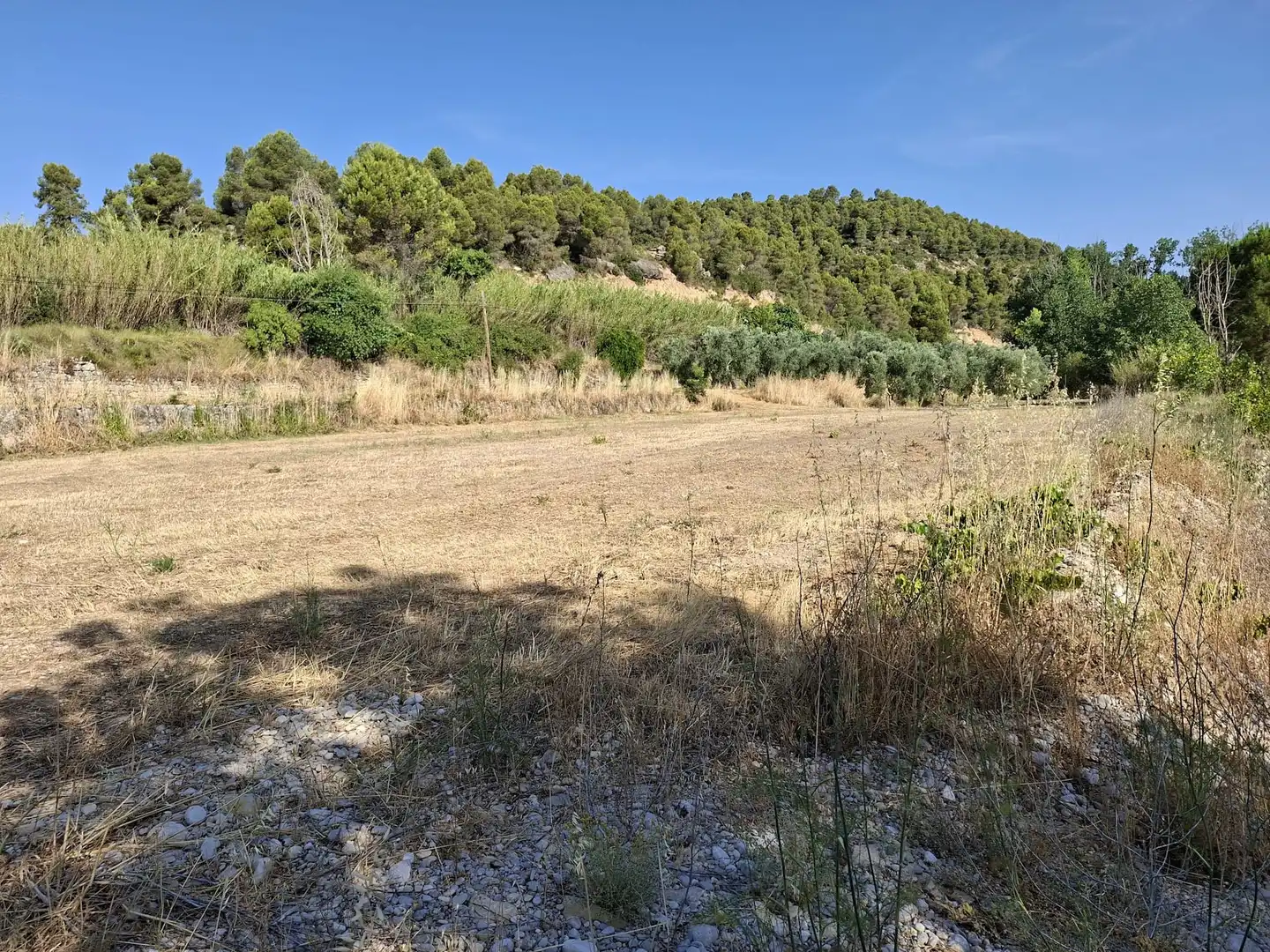 Finca rústica en venda en Mazaleón
