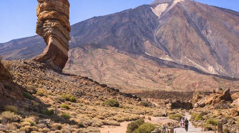 Foto 5 de Edificio en venta en Monte Lentiscal - Las Meleguinas, Santa Brígida