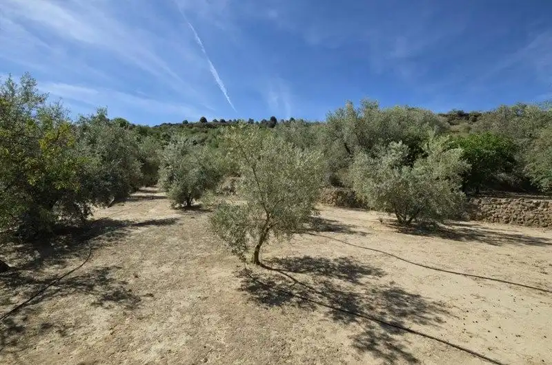 Terreno rustico in vendita a El Valle, imagen 7