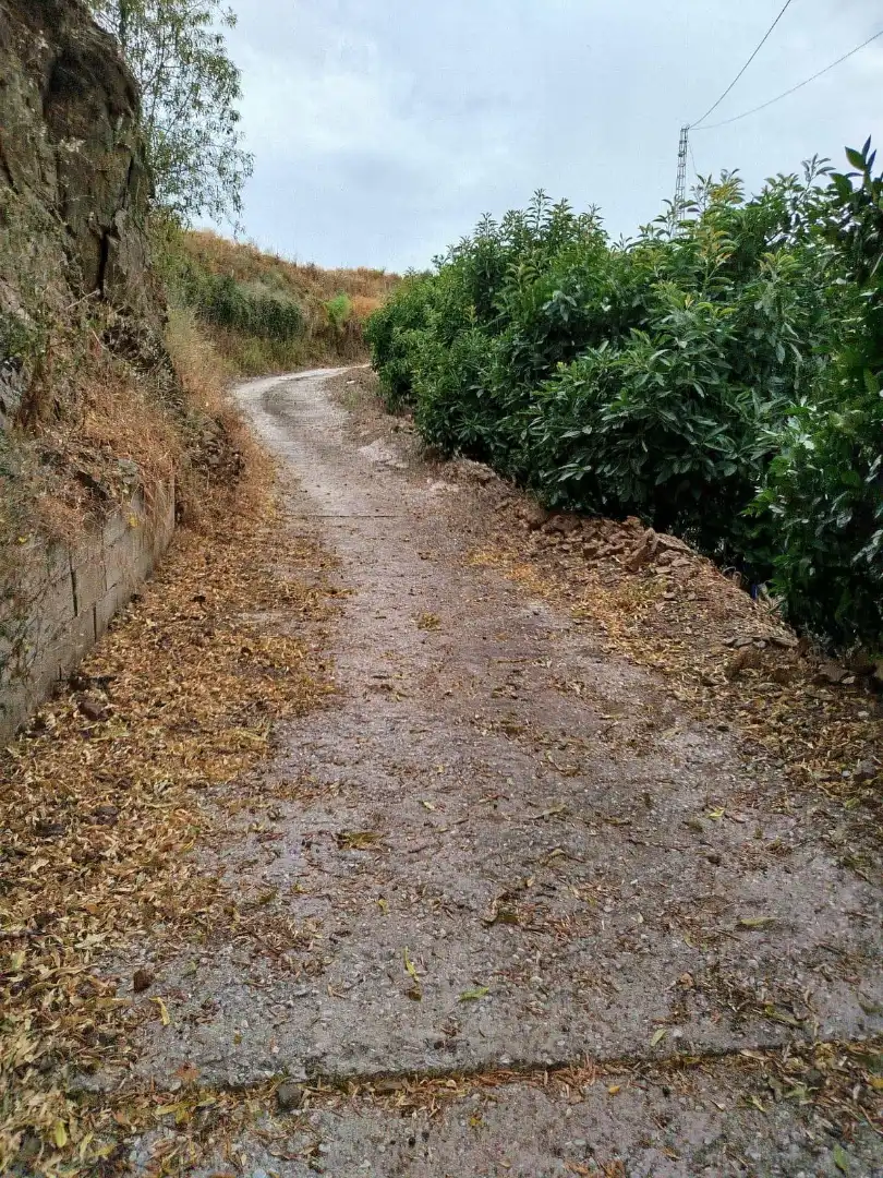 Terrain rustique à vendre à Vélez-Málaga ciudad, imagen 44