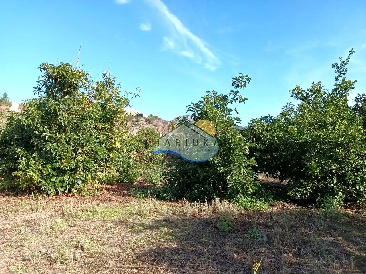 Country house for sale in Camino de las Herrerías, imagen 20