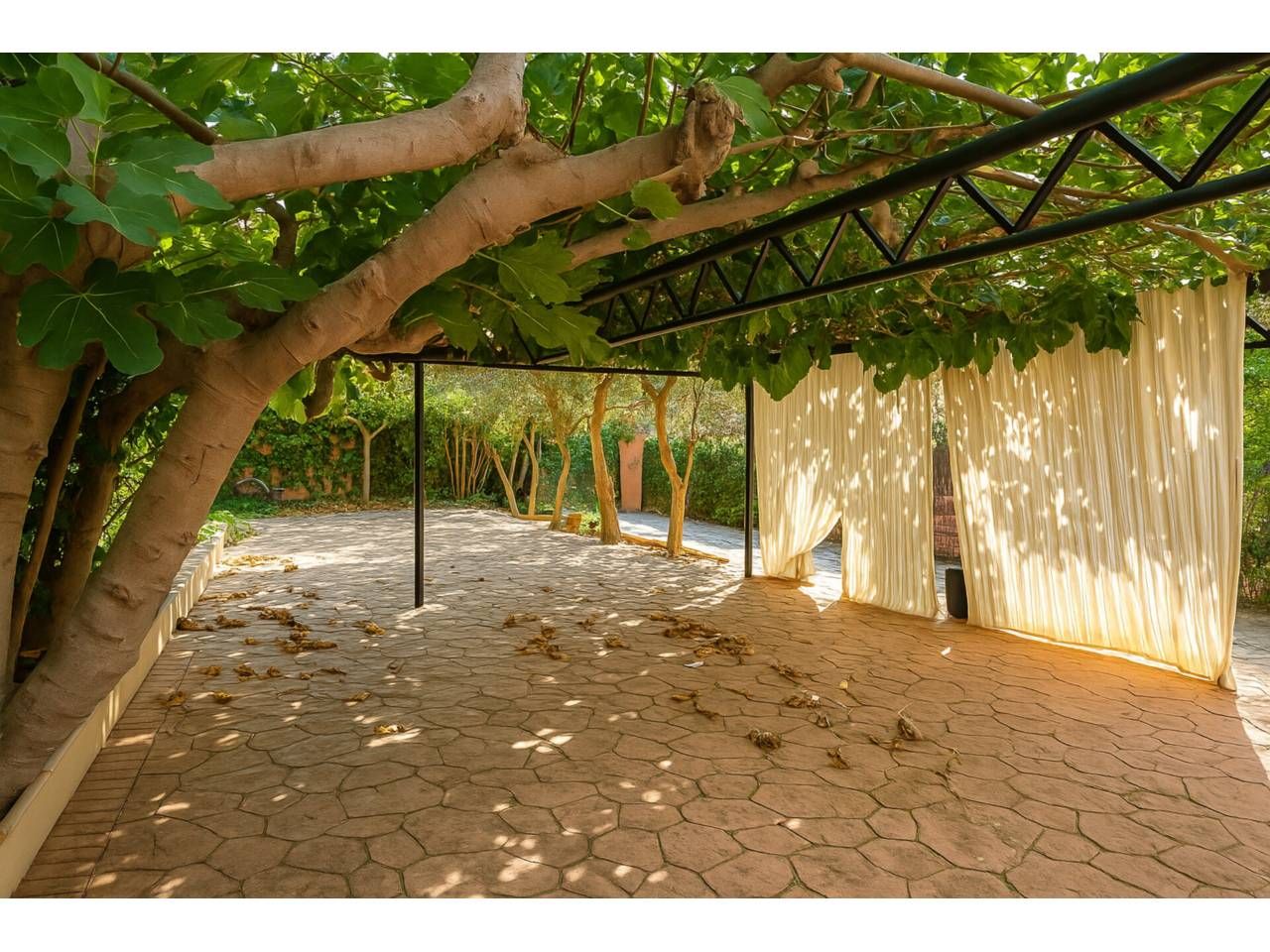 Jardín de Casa o chalet en venta en Carranque con Calefacción y Jardín privado