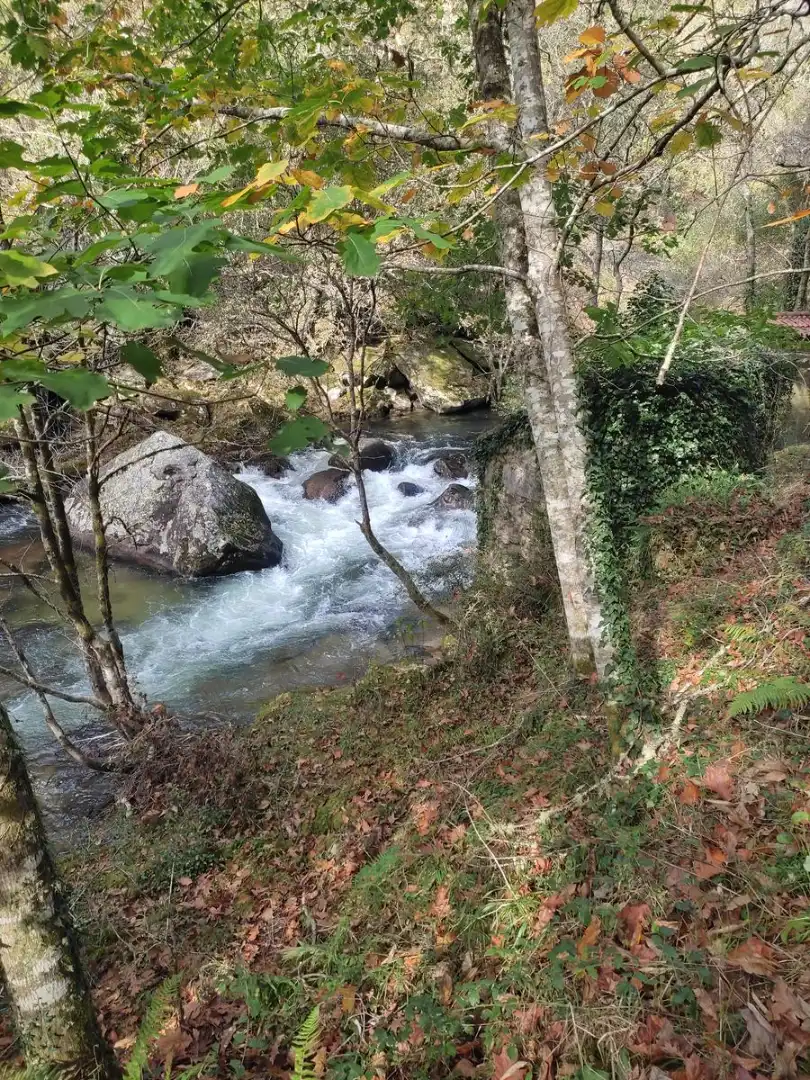 Maison mitoyenne avec jardin à vendre à Cuntis