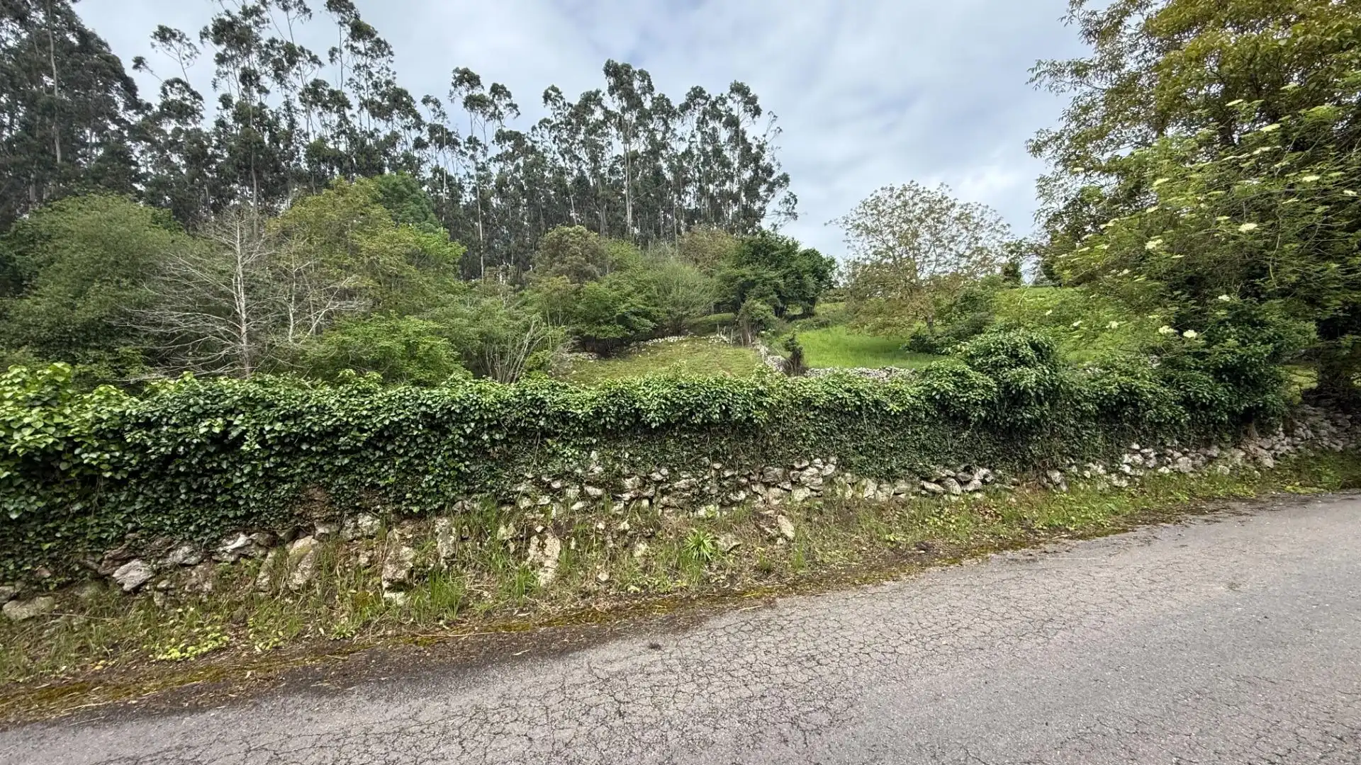 Land for sale in Valdáliga