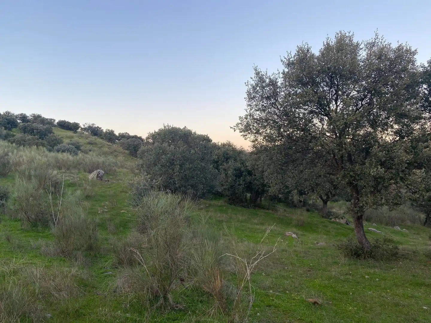 Terreni e lotti in vendita a Villar del Pedroso, imagen 16