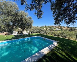 Swimming pool of House or chalet to rent in Las Rozas de Madrid