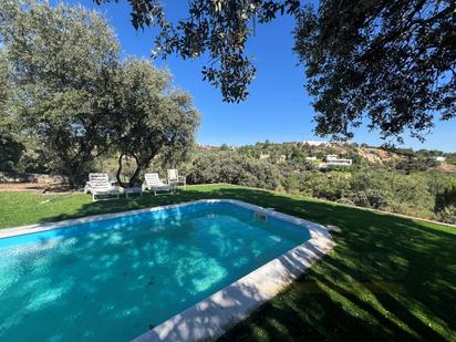 Swimming pool of House or chalet to rent in Las Rozas de Madrid