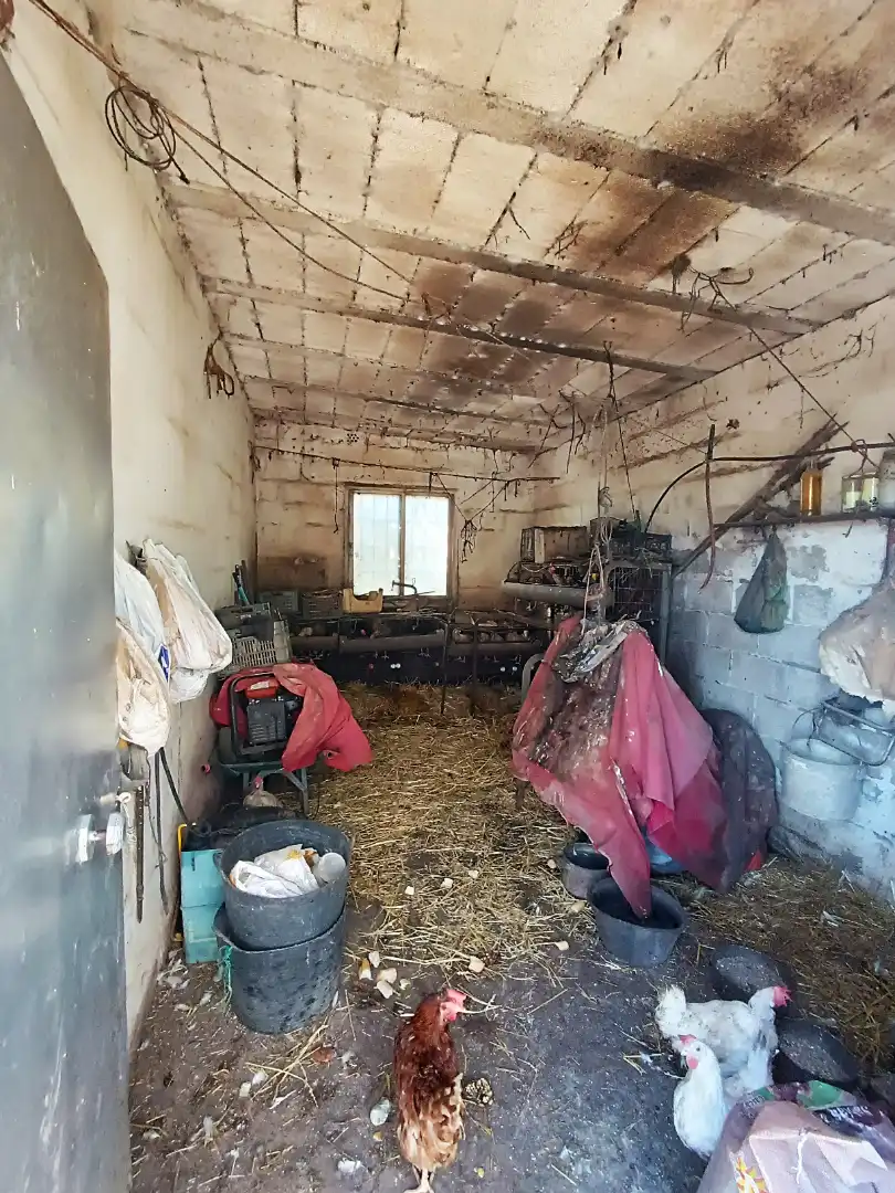 Terreni e lotti in vendita a El Juncal - Vallealto, imagen 9