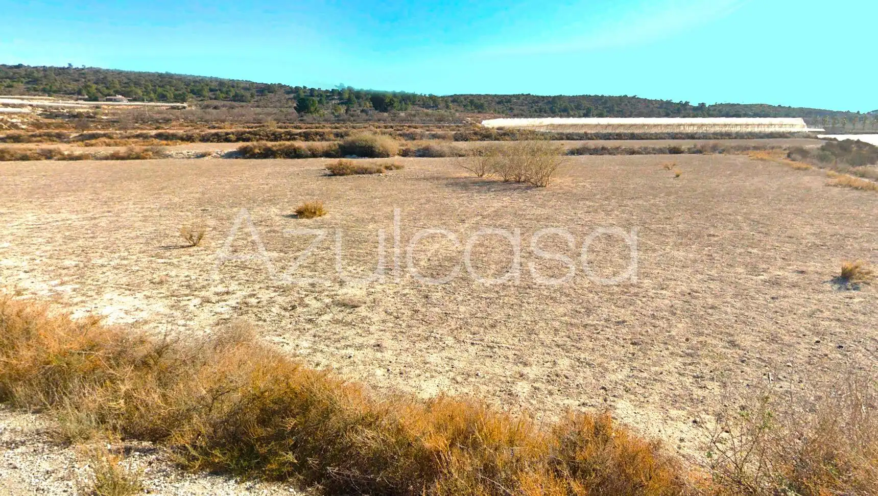 Land for sale in Monforte del Cid