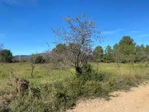 Terreno en venta en El Pont d'Armentera