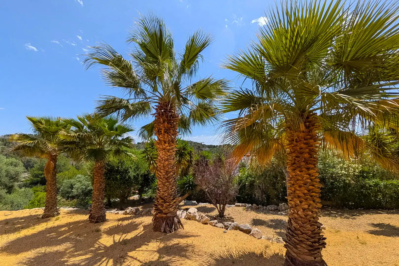 Casa amb terrassa en venda a Montgó - Ermita, imagen 38