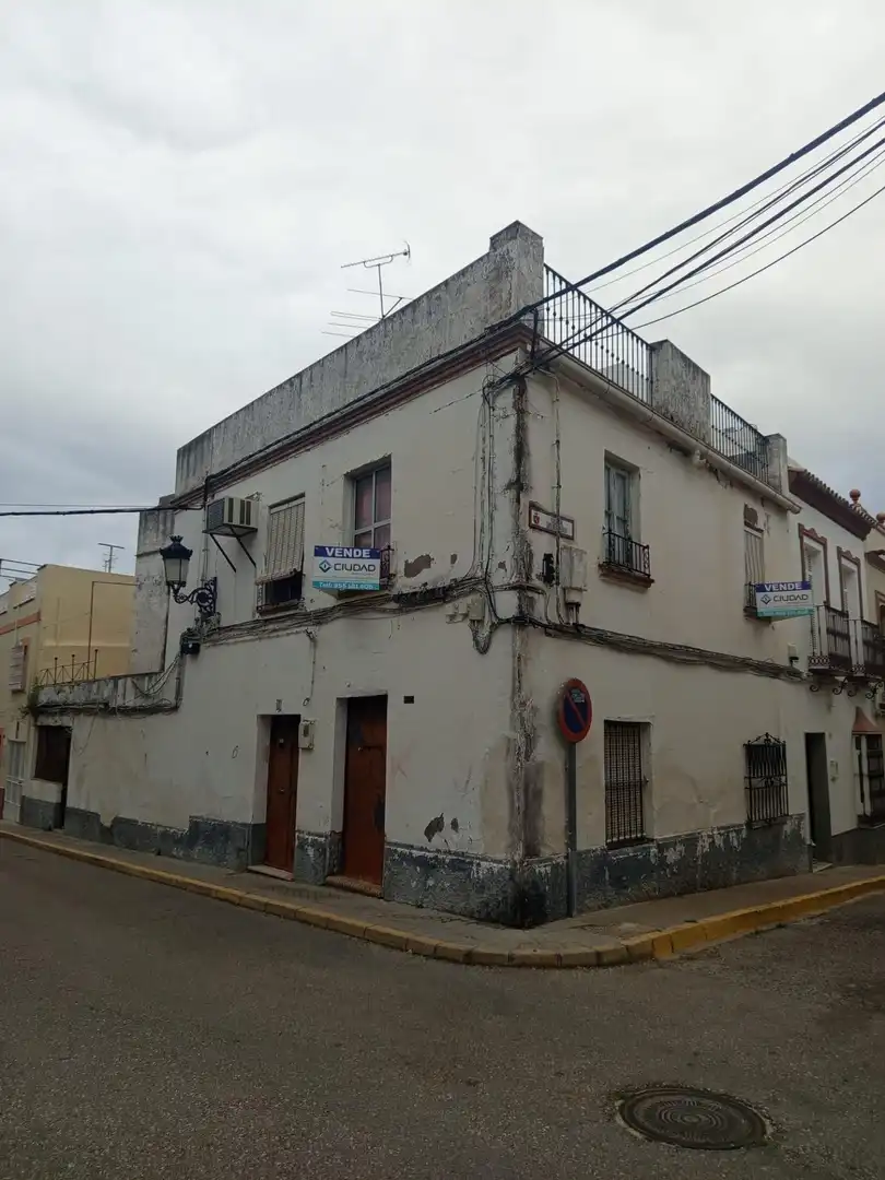Exterior view of Houses for sale in Morón de la Frontera