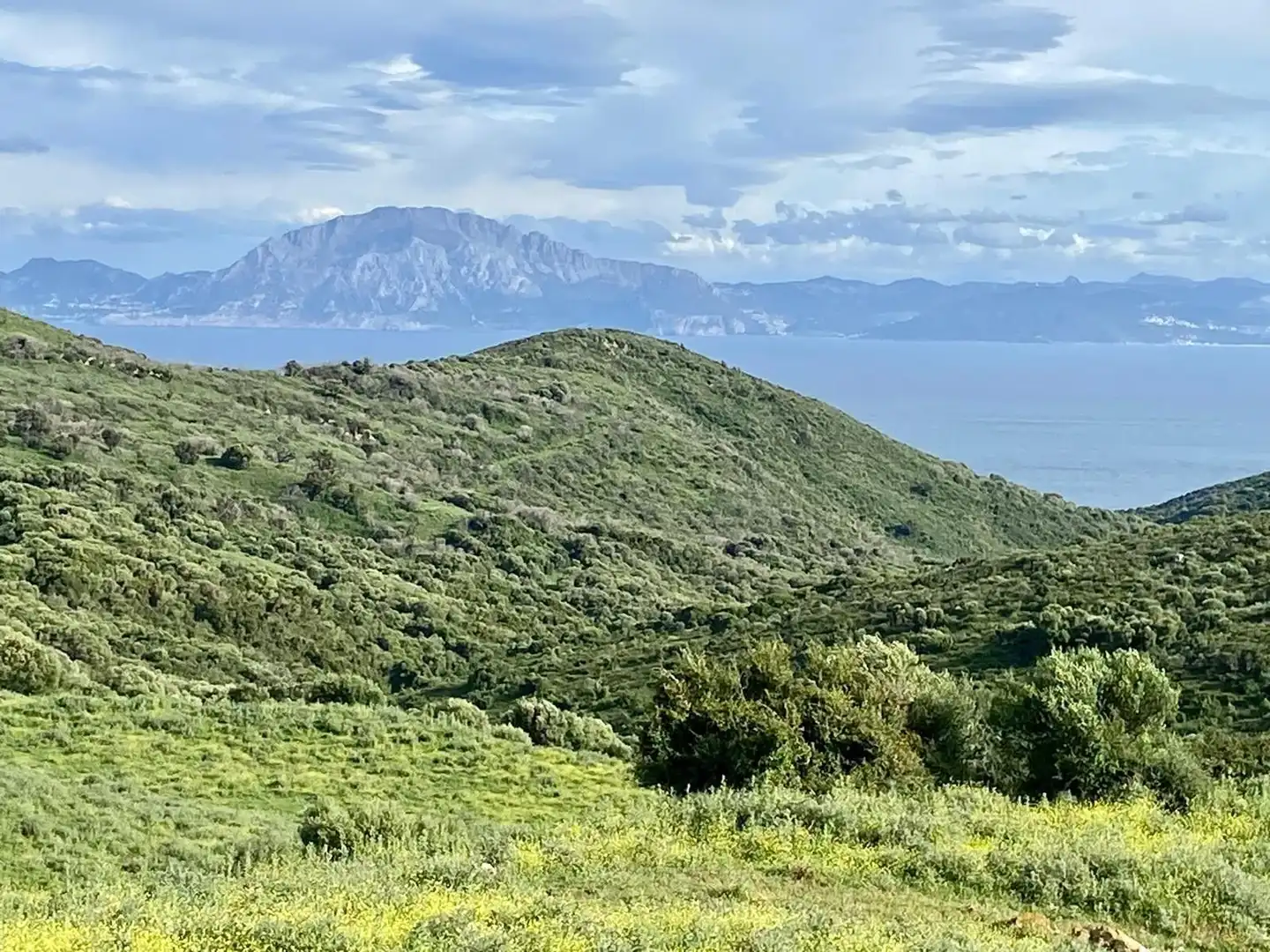 Finca rústica en venda a Tarifa ciudad