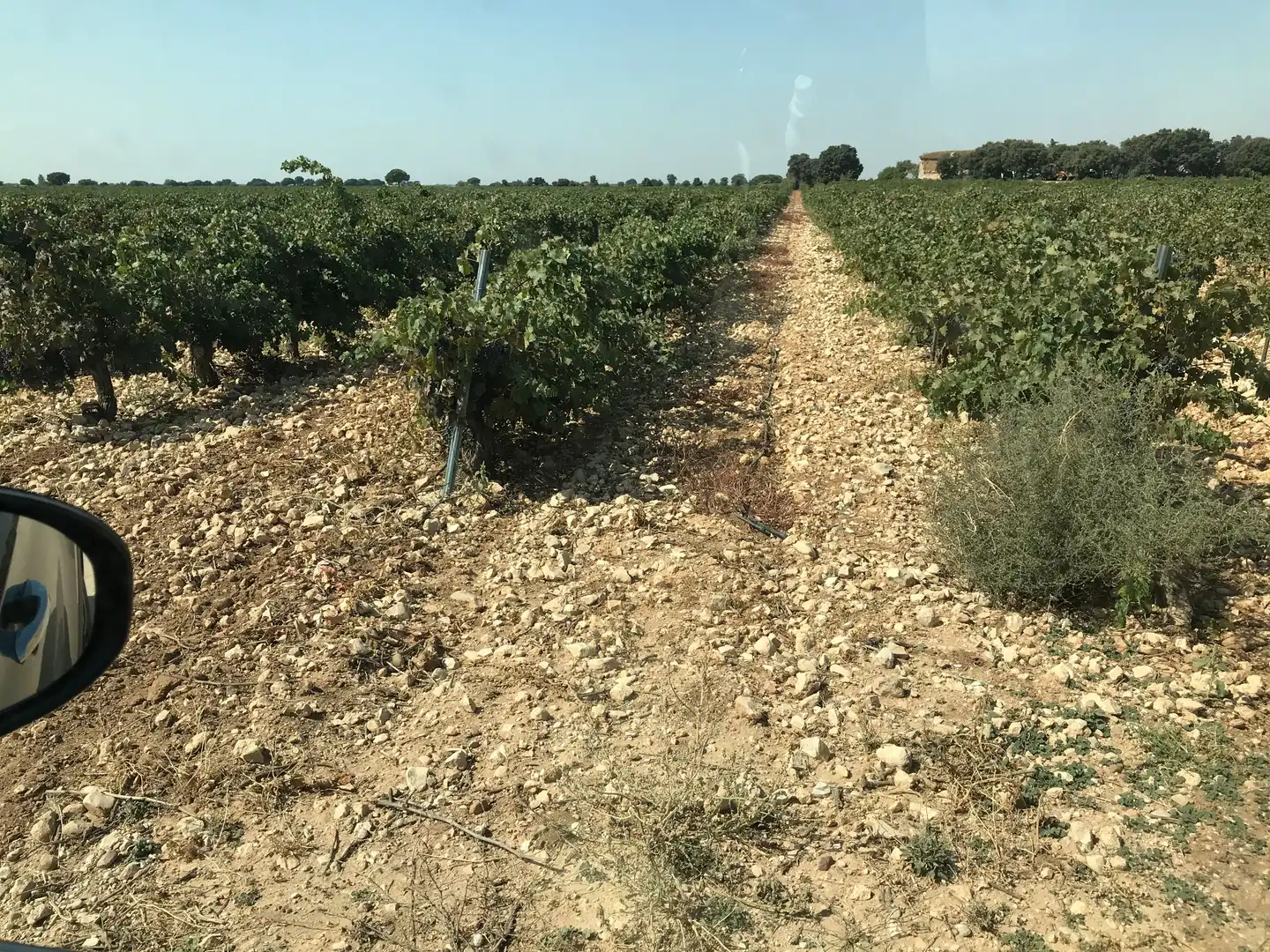 Terreni e lotti in vendita a Las Mesas, imagen 22