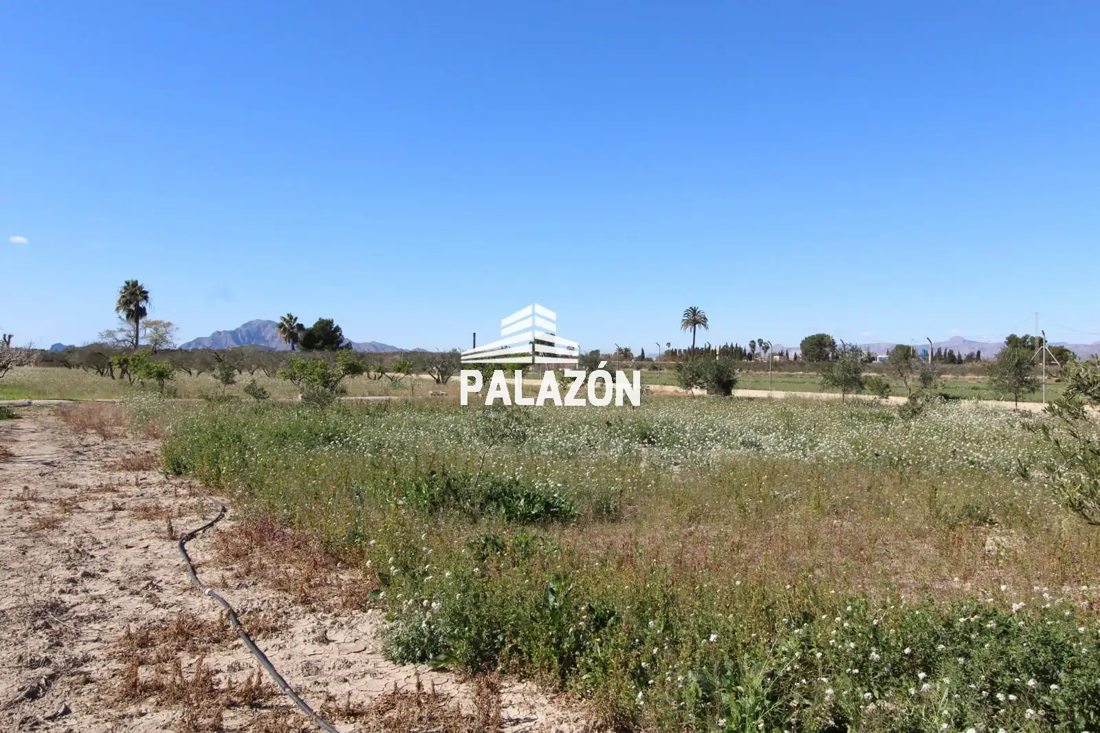 Chalet en venta en Dolores, imagen 37