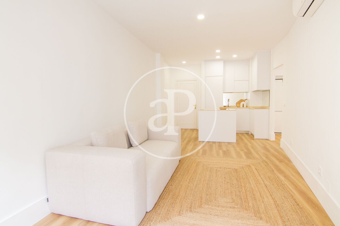 Living room of Flat to rent in  Madrid Capital  with Air Conditioner, Heating and Furnished