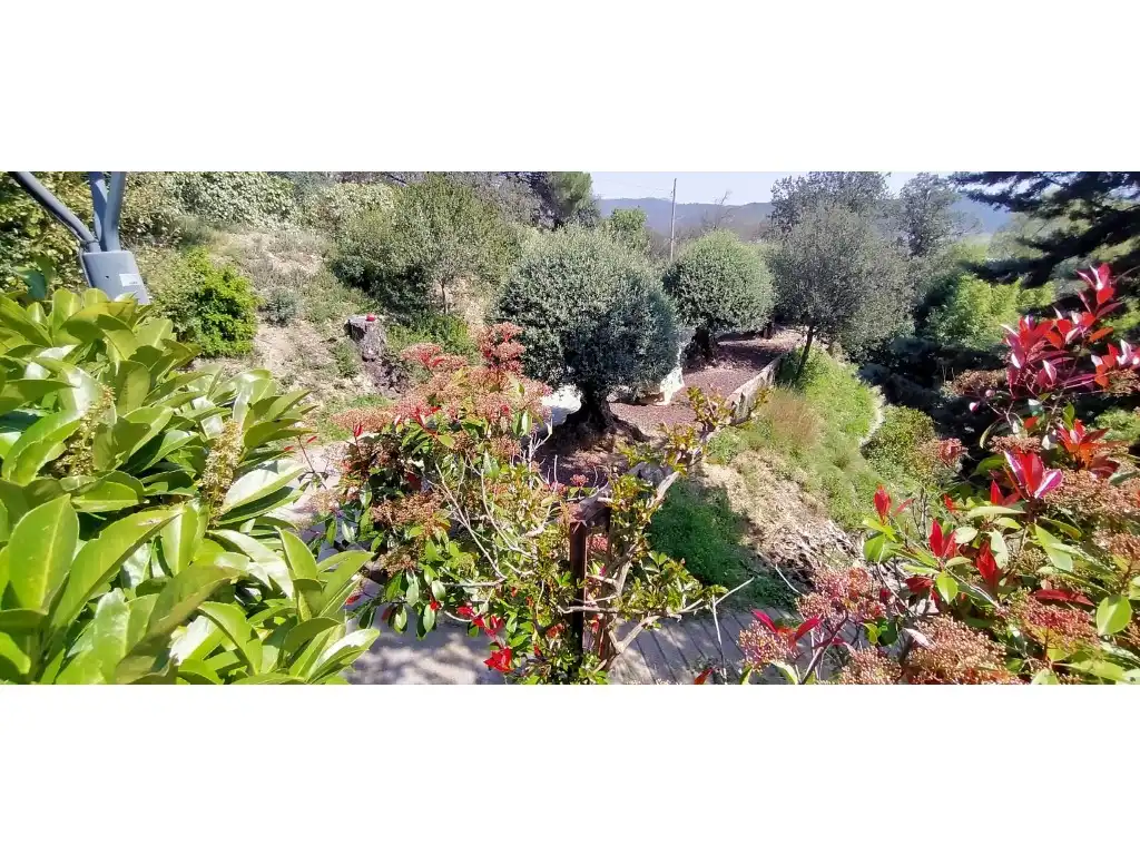 Jardín de Finca rústica en venta en Amer con Aire acondicionado